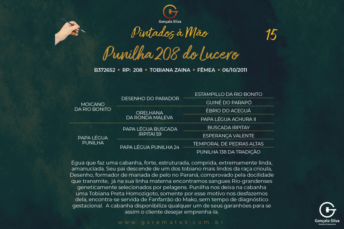 Geração PUNILHA 208 DO LUCERO