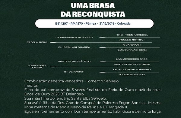 Geração ALIANÇA DA RECONQUISTA