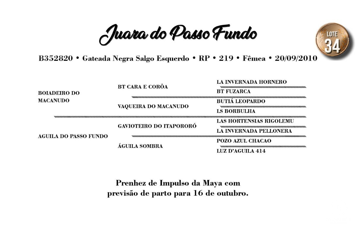 Geração JUARA DO PASSO FUNDO