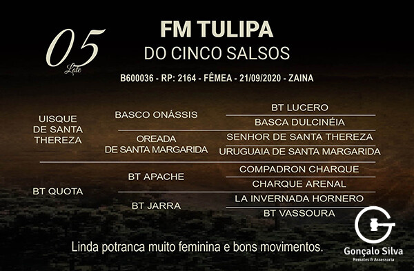Geração FM TULIPA DO CINCO SALSOS