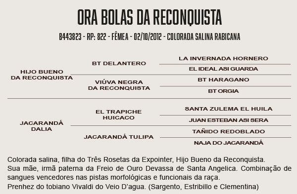 Geração ORA BOLAS DA RECONQUISTA