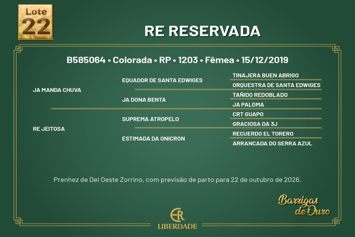 Geração RE RESERVADA