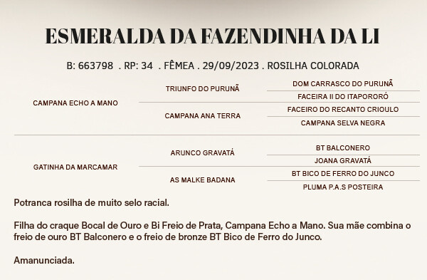 Geração ESMERALDA DA FAZENDINHA DA LI