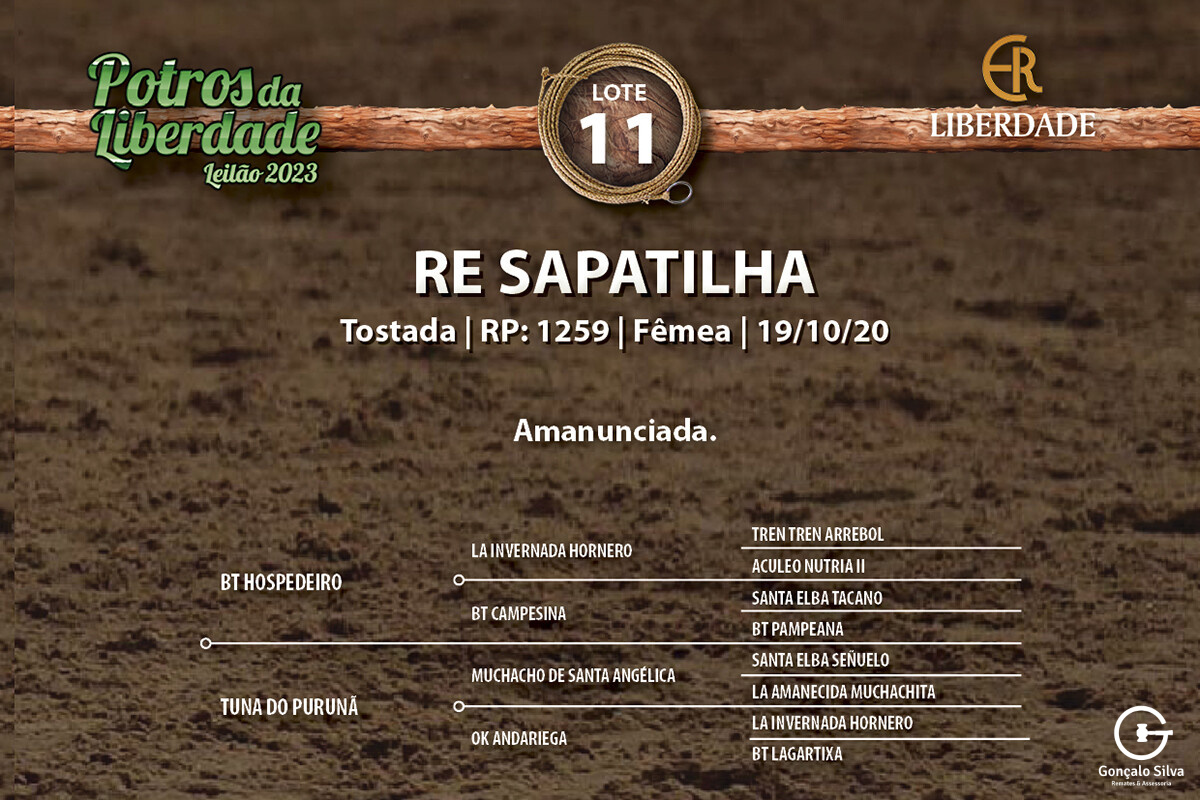 Geração RE SAPATILHA 