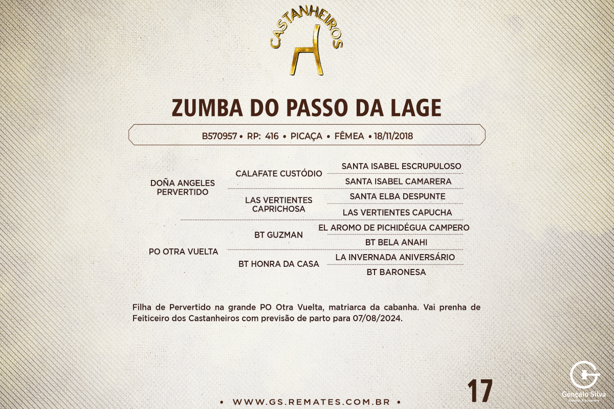 Geração ZUMBA DO PASSO DA LAGE 