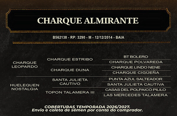 Geração CHARQUE ALMIRANTE 