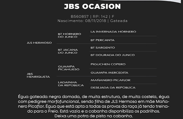 Geração JBS OCASION
