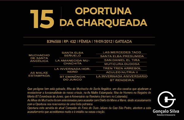 Geração OPORTUNA DA CHARQUEADA