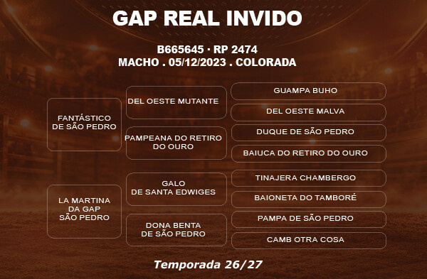 Geração COBERTURA GAP REAL INVIDO 