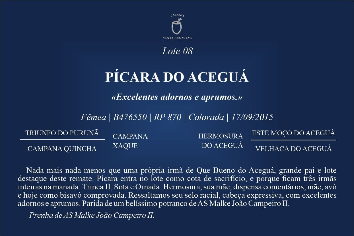 Geração PÍCARA DO ACEGUÁ