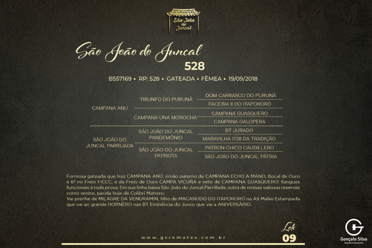 Geração SÃO JOÃO DO JUNCAL 528