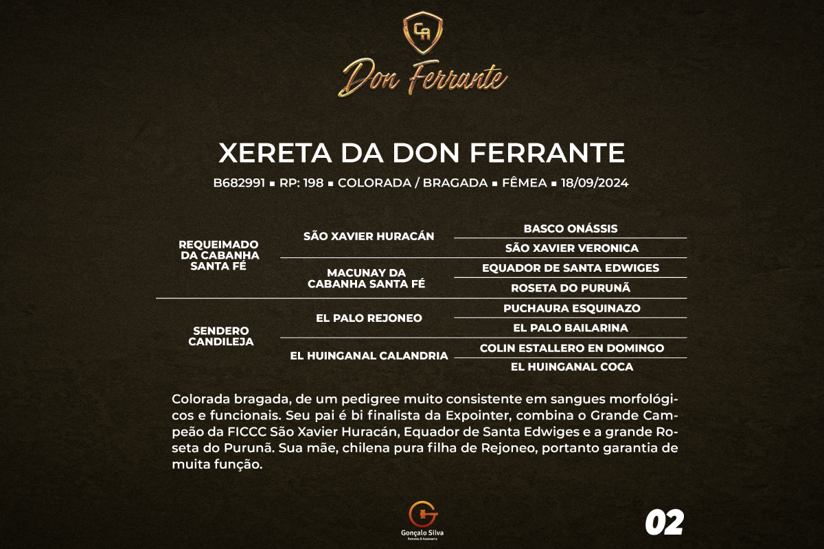 Geração XERETA DA DON FERRANTE 