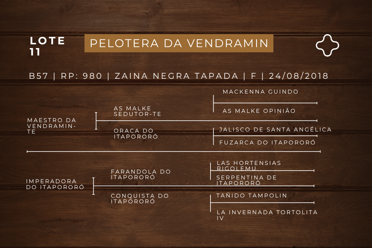 Geração PELOTERA DA VENDRAMIN