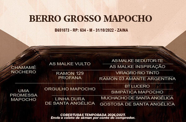 Geração Berro Grosso ou ÁS de Espada Mapocho 