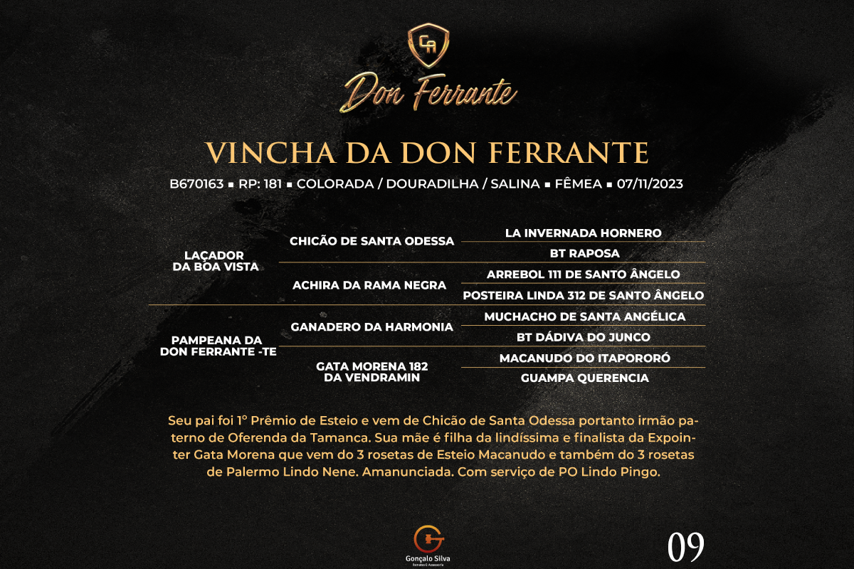 Geração VINCHA DA DON FERRANTE 