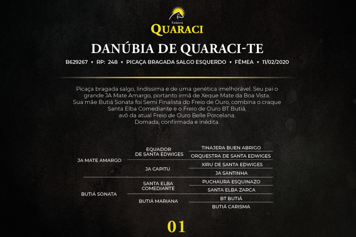Geração DANÚBIA DE QUARACI