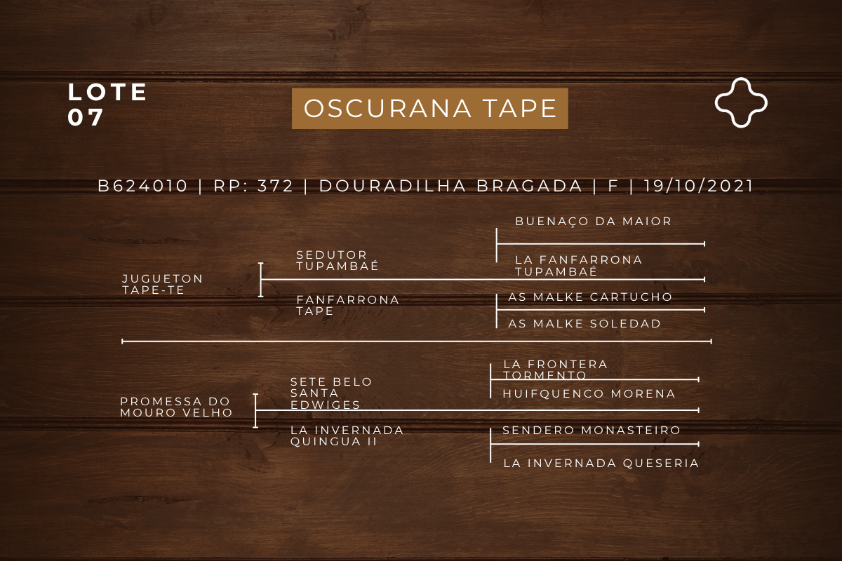 Geração OSCURANA TAPE