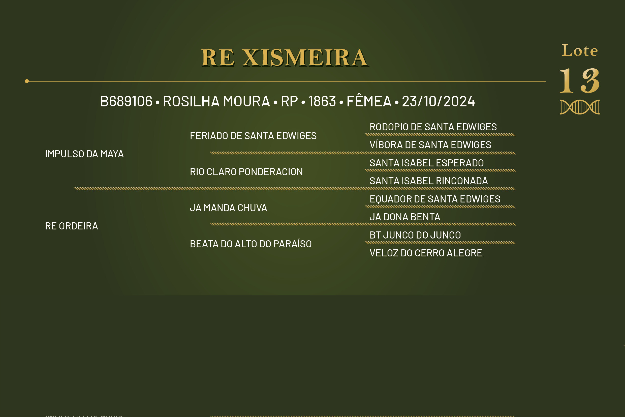Geração RE XISMEIRA 