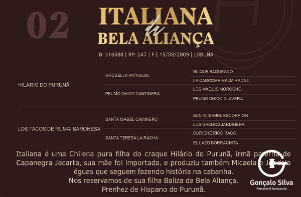 Geração ITALIANA DA BELA ALINÇA