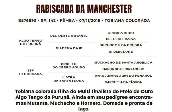 Geração RABISCADA DA MANCHESTER