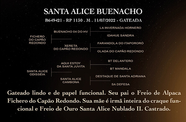 Geração SANTA ALICE BUENACHO