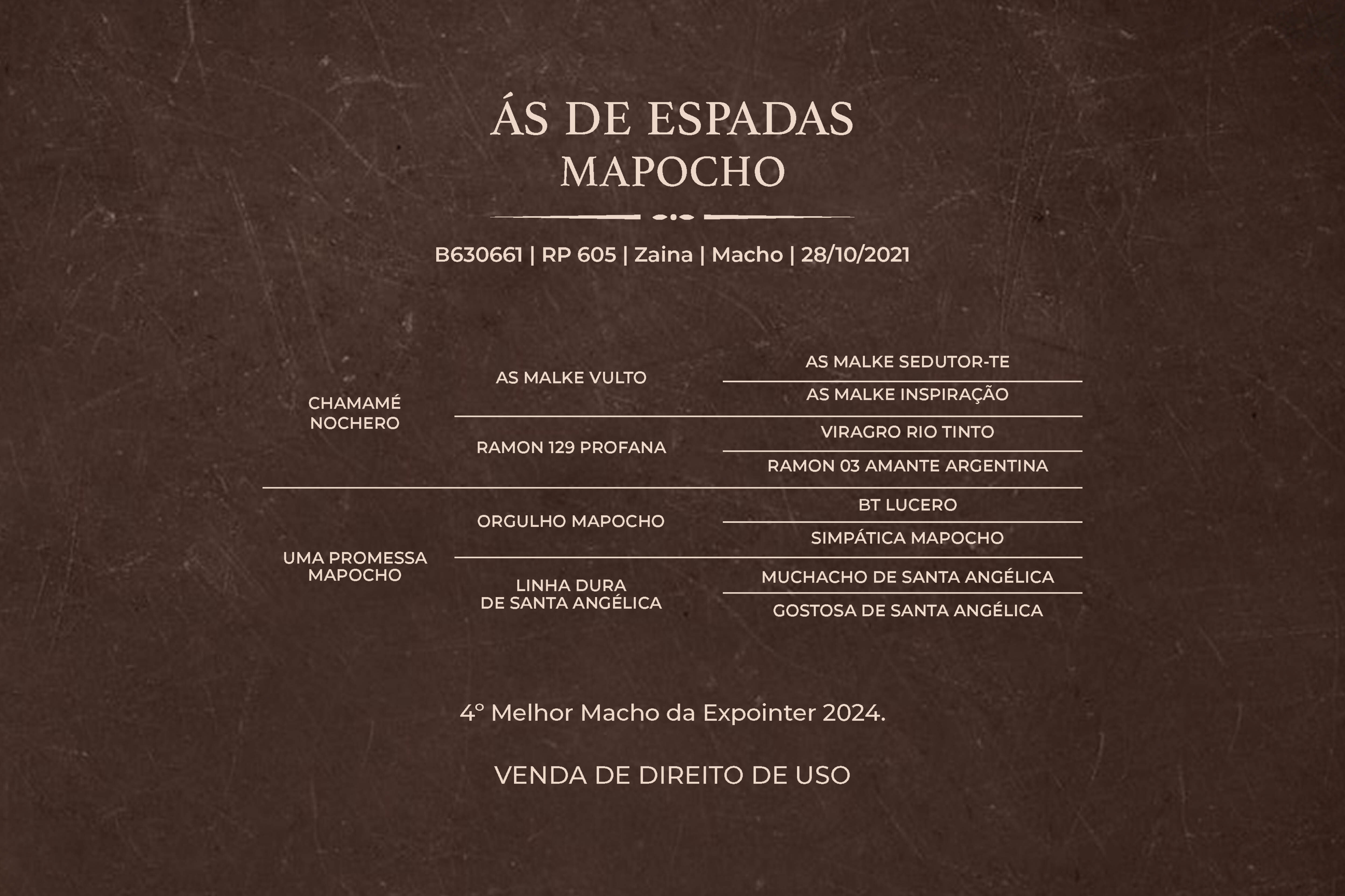 Geração ÁS DE ESPADAS MAPOCHO - Venda de direito de uso 