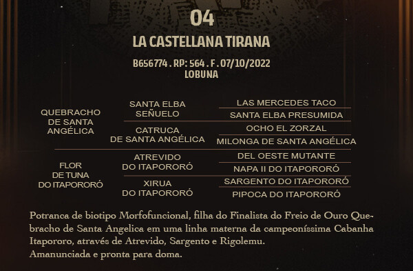 Geração LA CASTELLANA TIRANA
