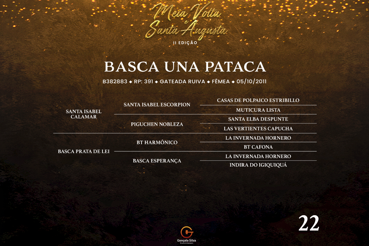 Geração BASCA UNA PATACA