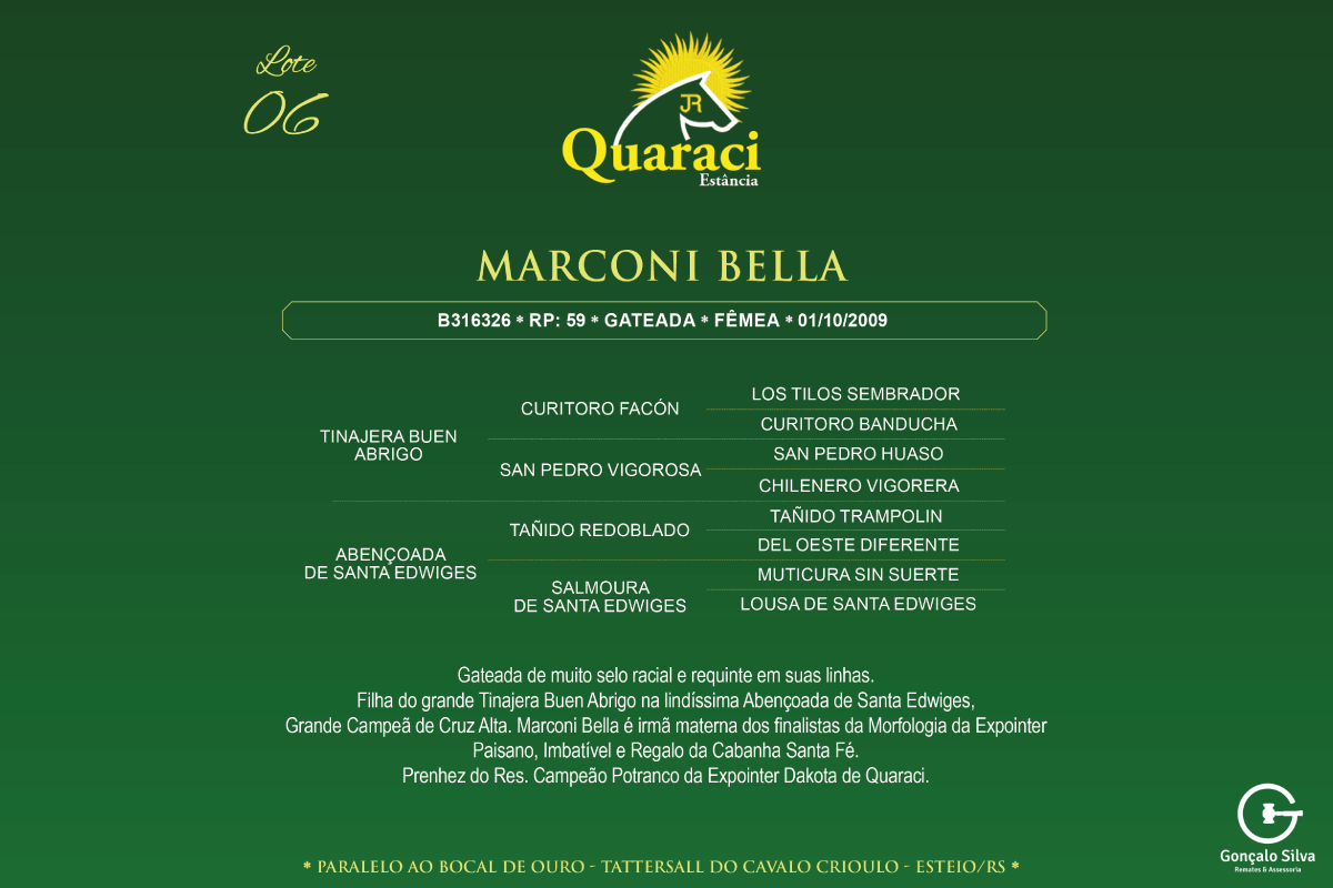Geração MARCONI BELLA