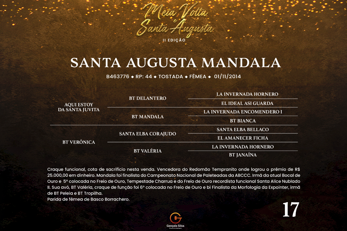 Geração SANTA AUGUSTA MANDALA