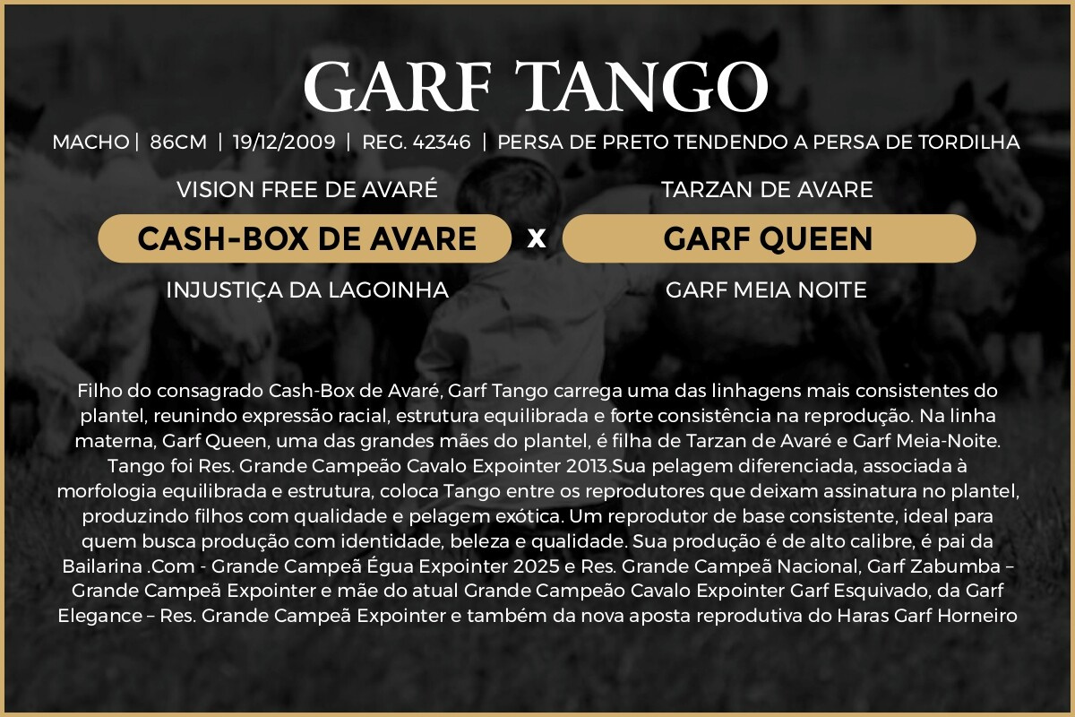 Geração 50% GARF TANGO