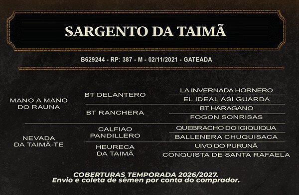 Geração SARGENTO DA TAIMÃ