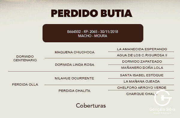 Geração COBERTURA PERDIDO BUTIA