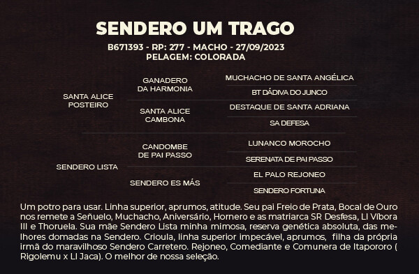 Geração SENDERO UM TRAGO