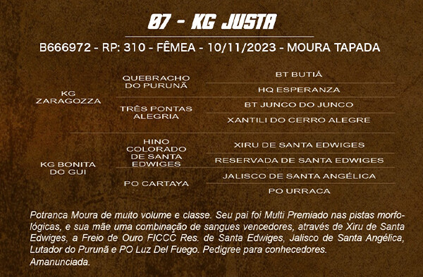 Geração KG JUSTA
