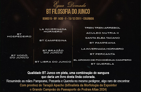 Geração BT FILOSOFIA DO JUNCO