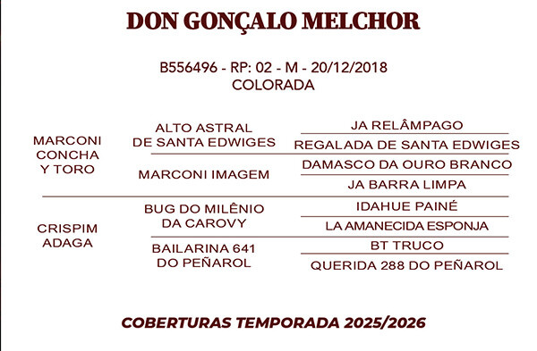 Geração DON GONÇALO MELCHOR 