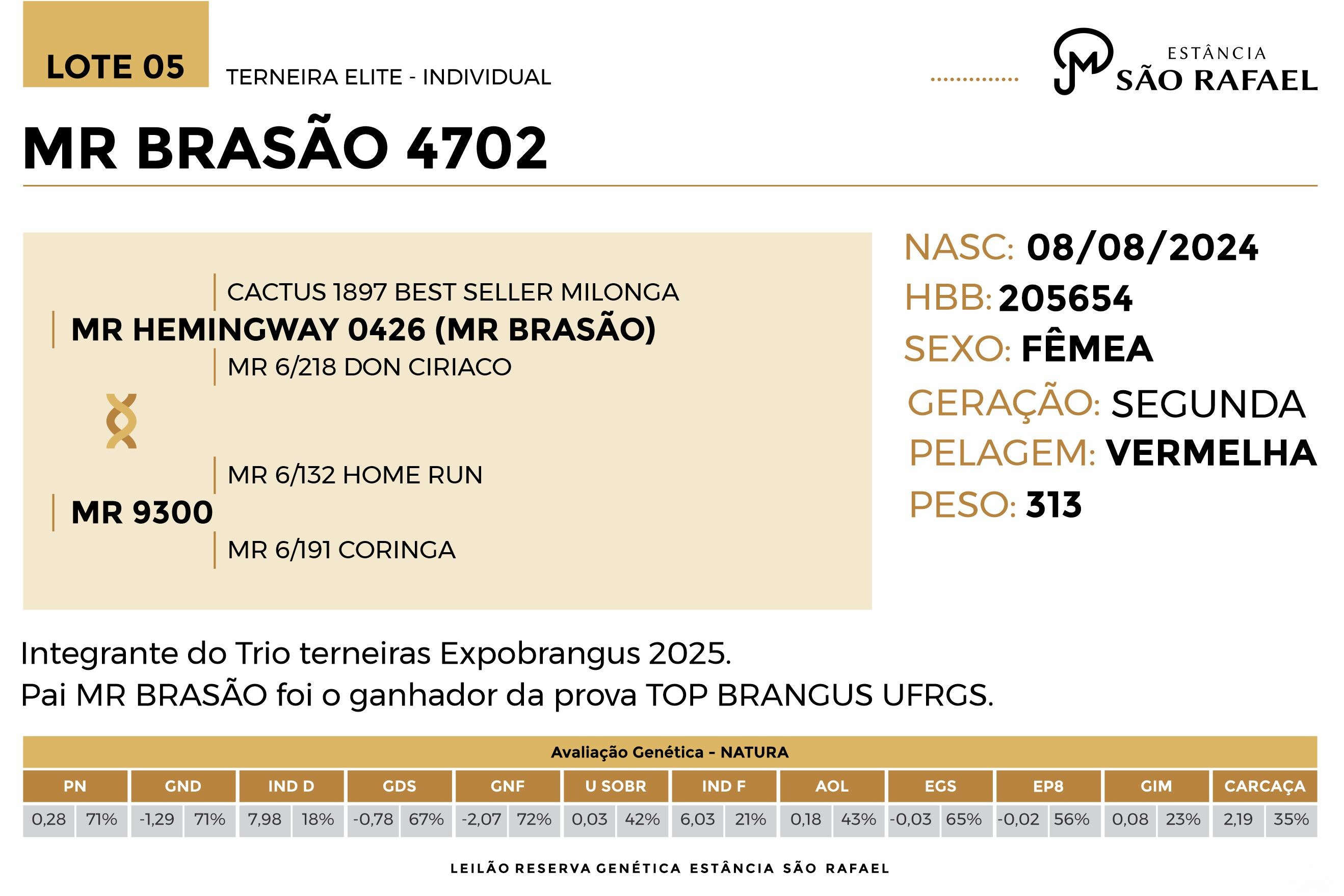 Geração MR BRASÃO 4702