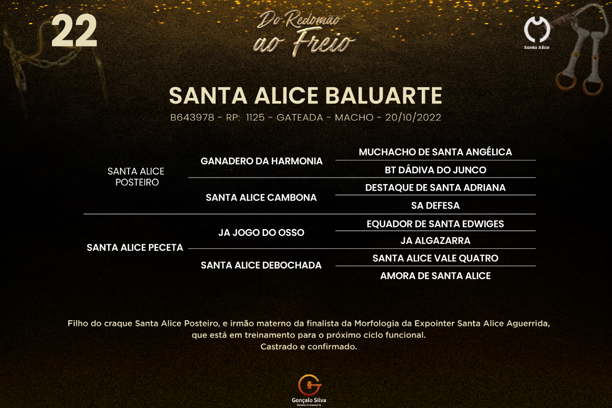 Geração SANTA ALICE BALUARTE