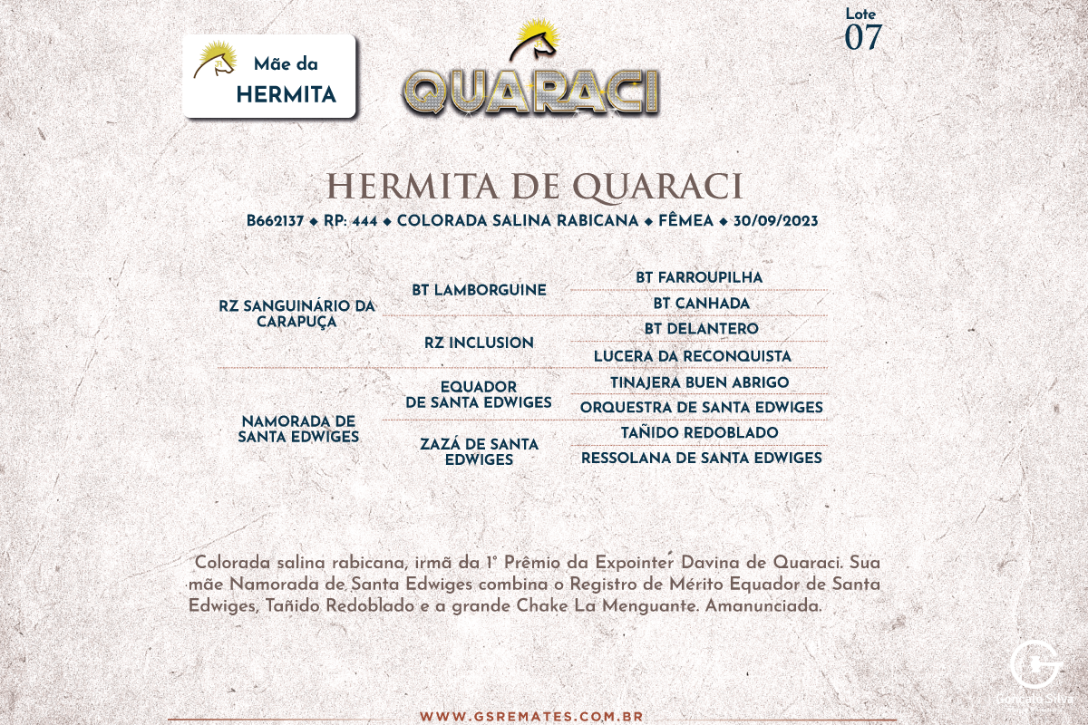 Geração HERMITA DE QUARACI