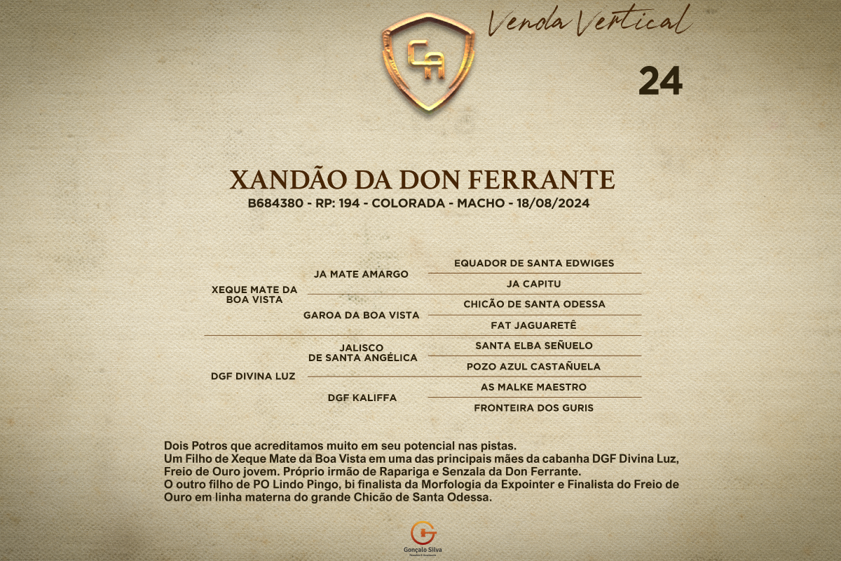 Geração XANDÃO DA DON FERRANTE - Venda vertical