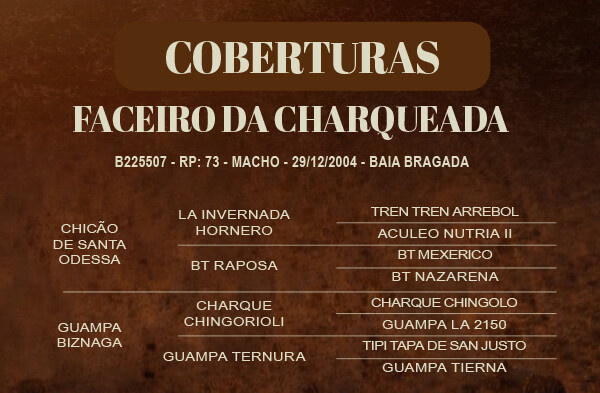 Geração COBERTURAS FACEIRO DA CHARQUEADA