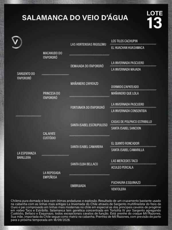 Geração SALAMANCA DO VEIO D'ÁGUA