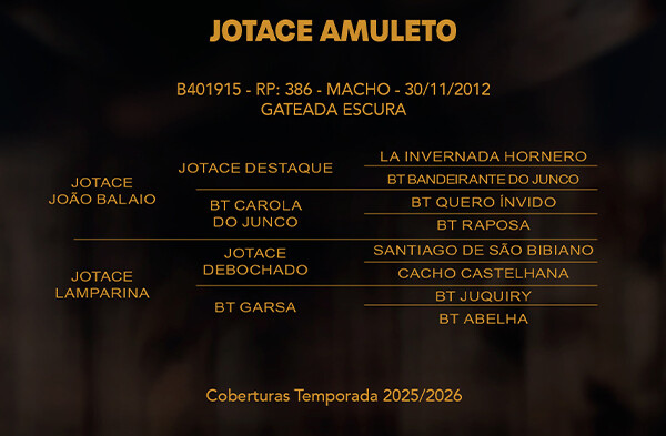 Geração JOTACE AMULETO