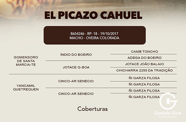 Geração COBERTURA EL PICAZO CAHUEL