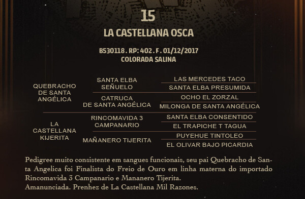 Geração LA CASTELLANA OSCA