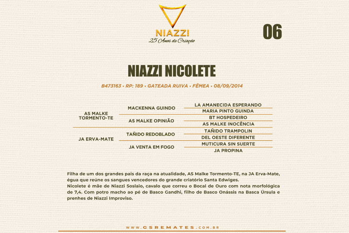 Geração NIAZZI NICOLETE
