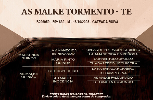 Geração AS Malke Tormento - TE