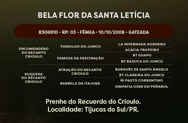 Geração  BELA FLOR DA SANTA LETÍCIA