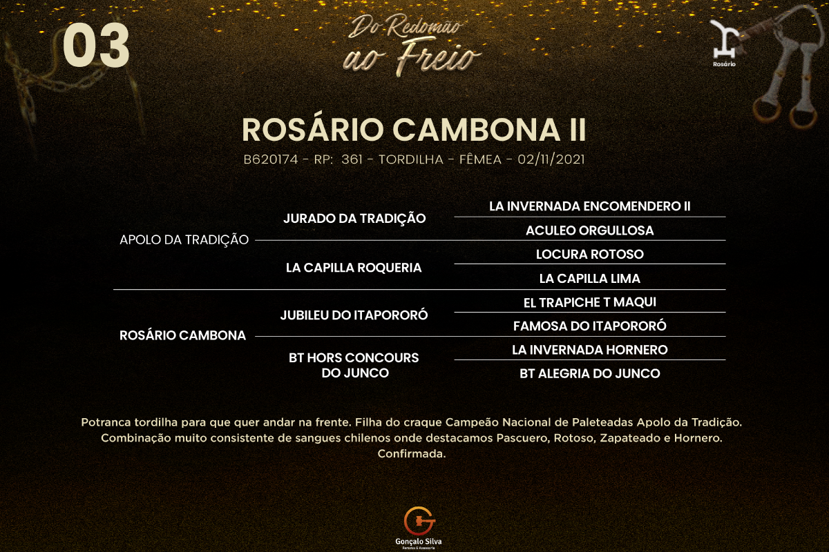 Geração ROSÁRIO CAMBONA II